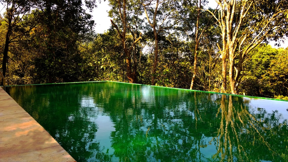 Wayanad Wild - Cgh Earth 35/48