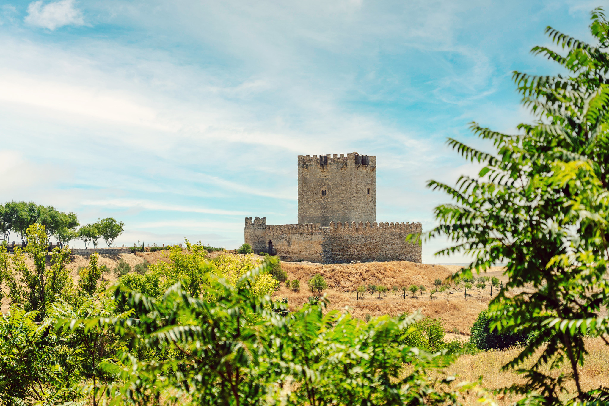 Abba Las Vinas Tiedra Hotel Rural 40/50