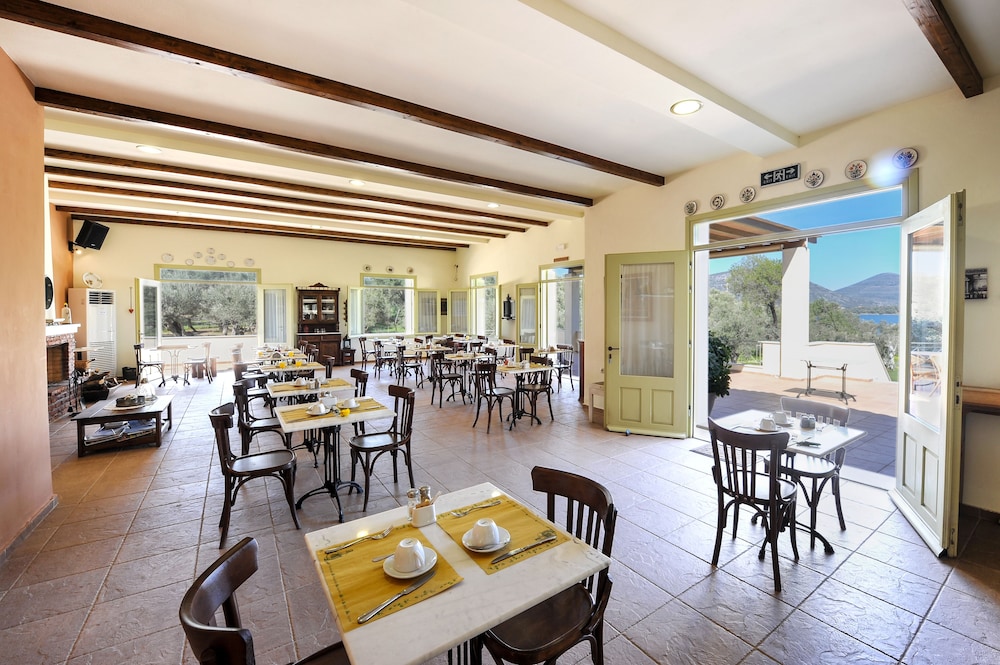 Gera's Olive Grove 29/50