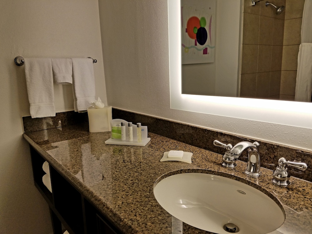 Holiday Inn Irving - Las Colinas, an IHG Hotel 13/64