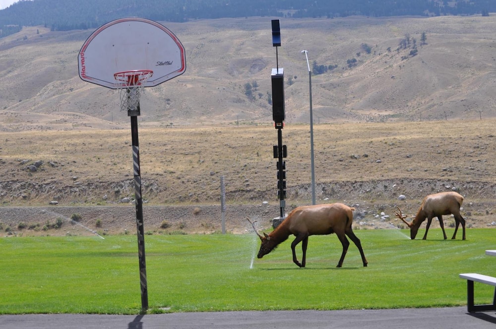 Yellowstone Village Inn and Suites 23/36