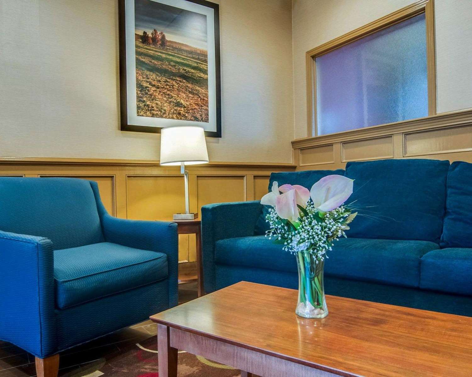 Comfort Inn & Suites Raphine VA 28/34