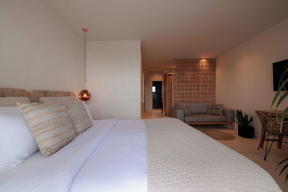 ASTY Mykonos Hotel and Spa 11/50