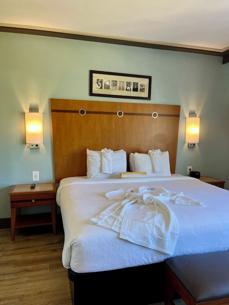 Majestic Hotel South Beach 16/50