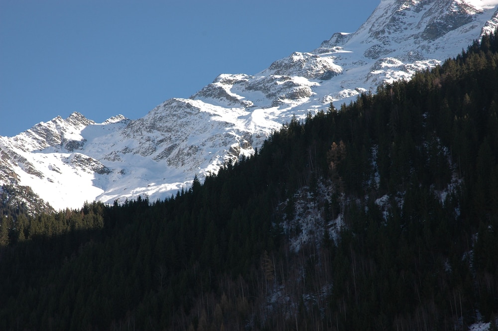 Chalet-Hotel La Chemenaz 40/50