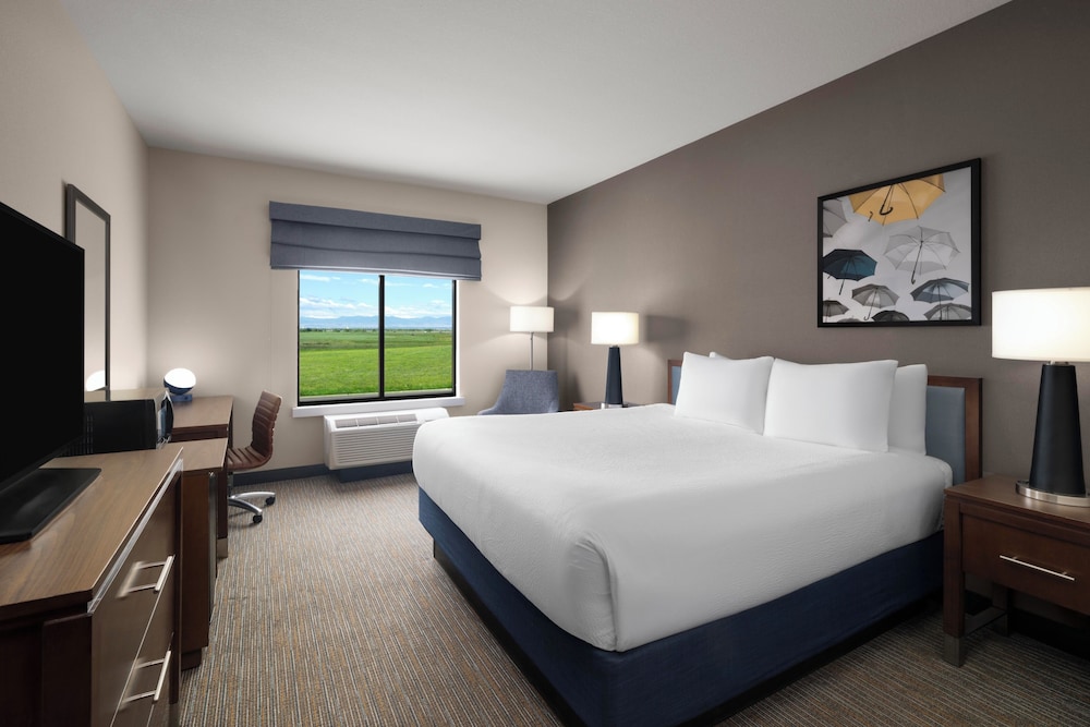 Standard, King Bed, Accessible