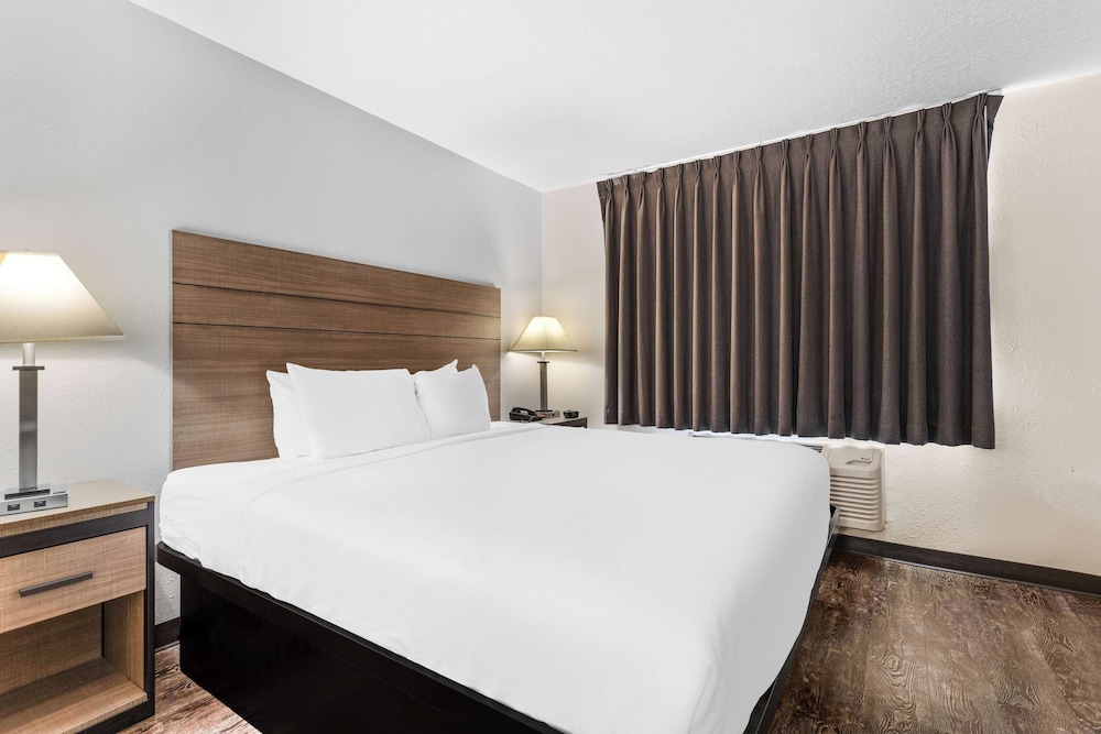 ROOM, KING BED, SOFA, LARGE