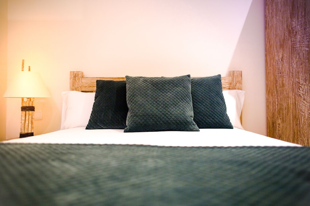 La Bodega Suites 15/38