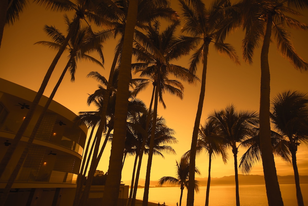 Vista Vallarta All Suites on the Beach 71/75