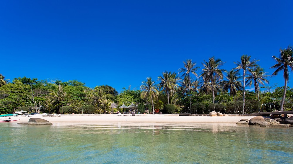 Whale Island Resort 8/68