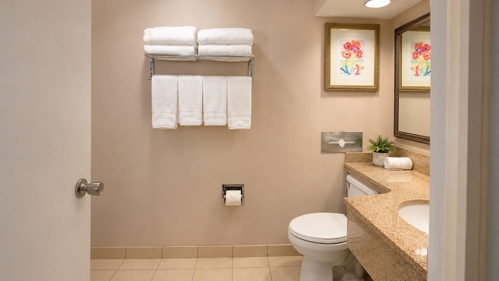 شقة أساسية بسرير كينج مع أريكة، Hotel Boston 5/7