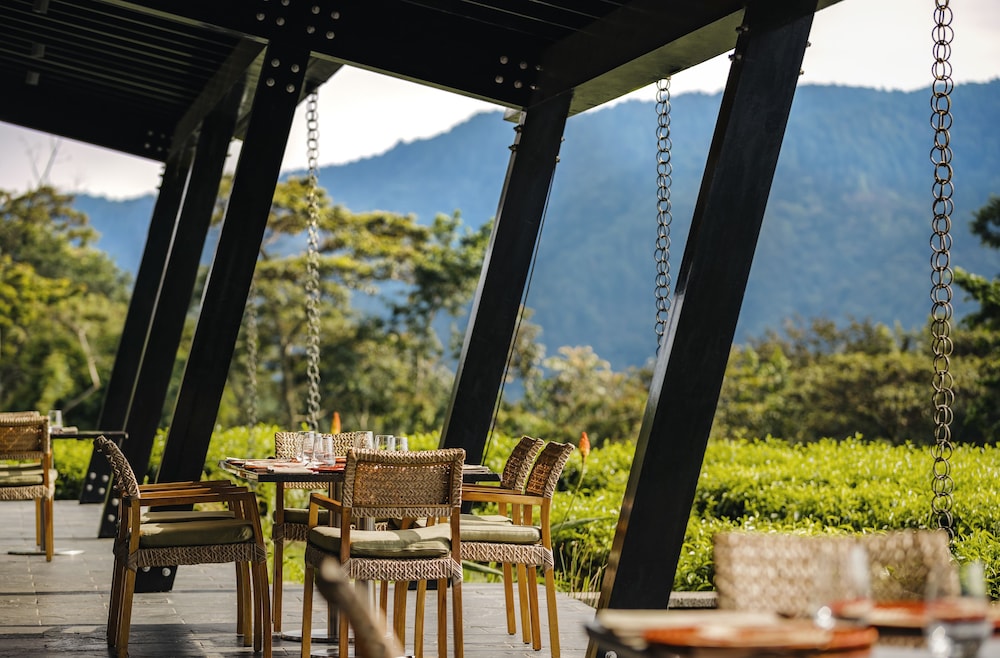 Nyungwe Tea Forest Resort 48/71