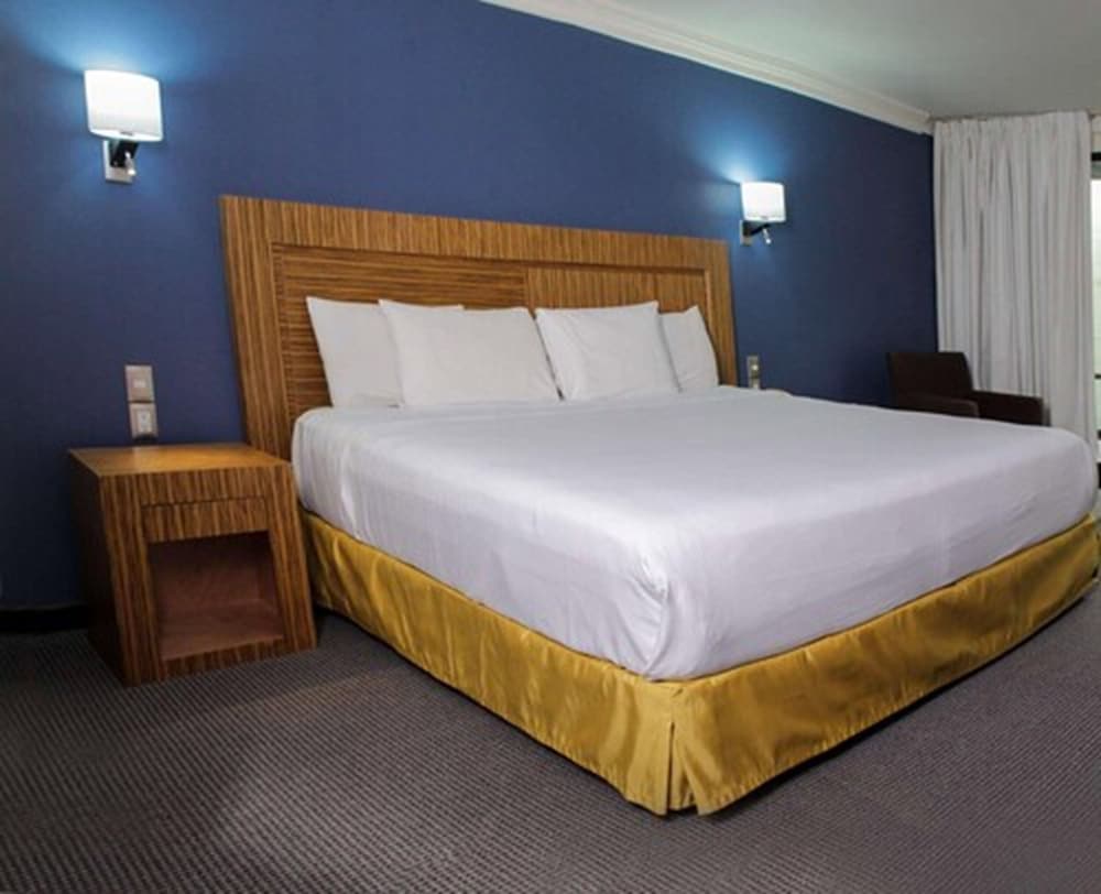 Radisson Hotel & Convention Center Toluca 14/50