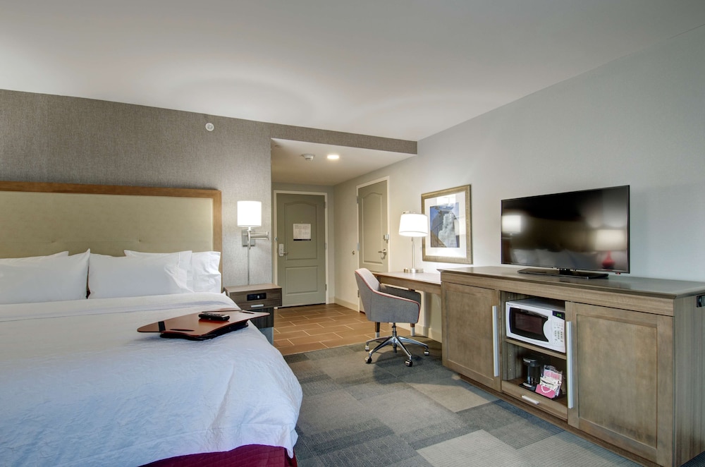 Hampton Inn And Suites Springfield Downtown 18/42