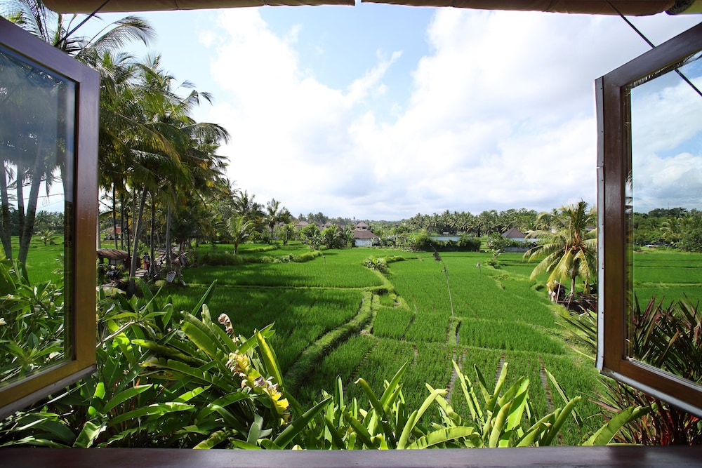Satori Villas 35/50