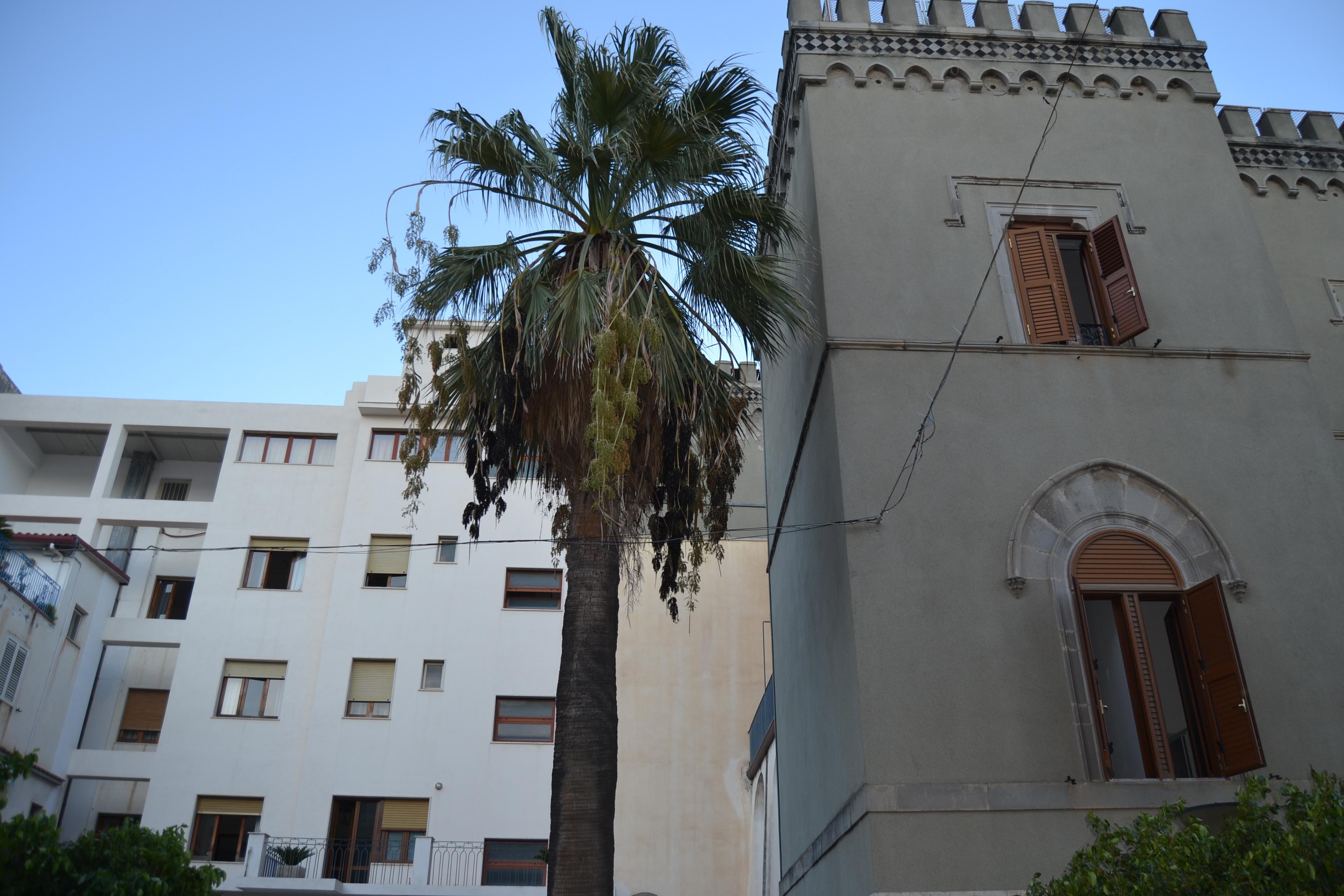 Palazzo Durante 9/21