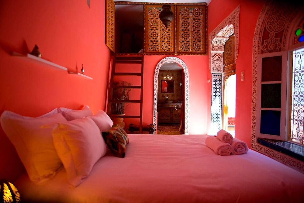 Riad Safir 19/49
