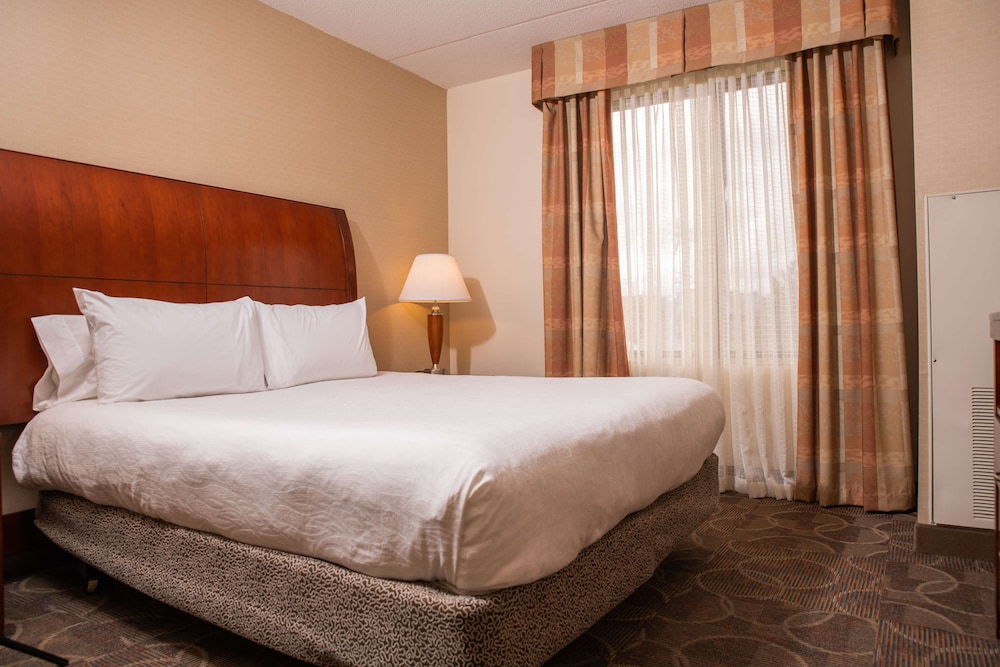 Evolution, Junior Suite, King Bed