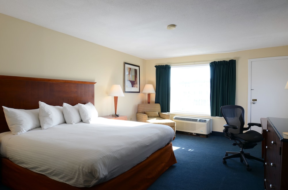 Hampton House Hotel 19/62