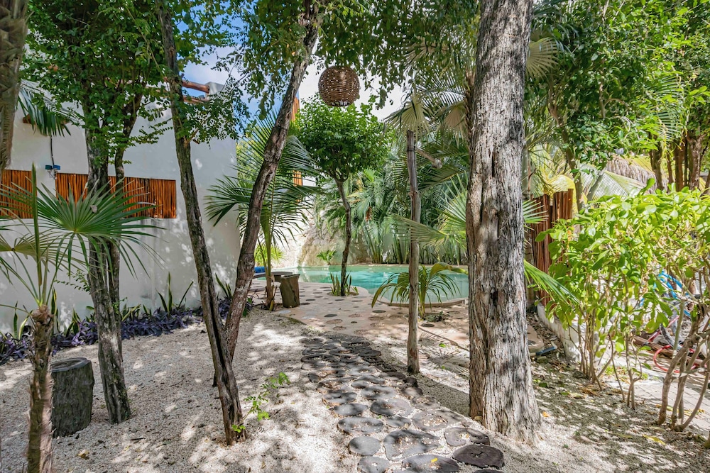 Niik Tulum 78/82