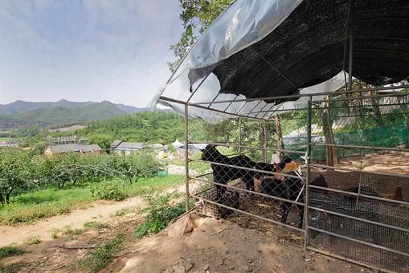 Wonju Songho Tourist Farm Pension 8/13