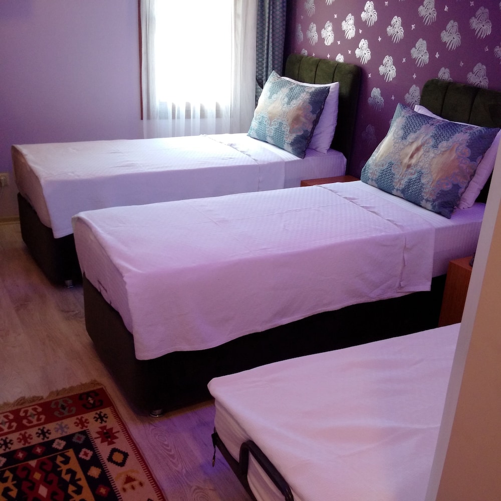 Otel Safran Palas 16/50