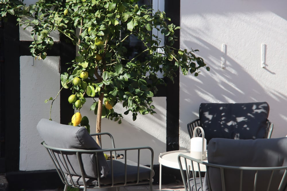 Hotell Bäckagården 10/50