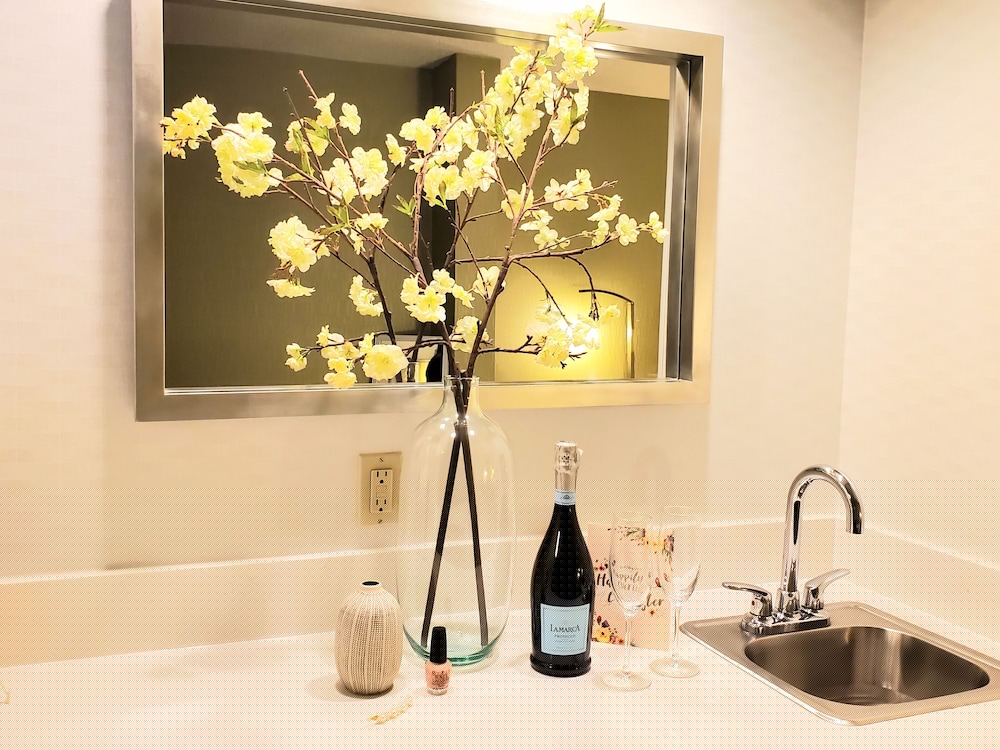 Springhill Suites Minneapolis Eden Prairie 26/60