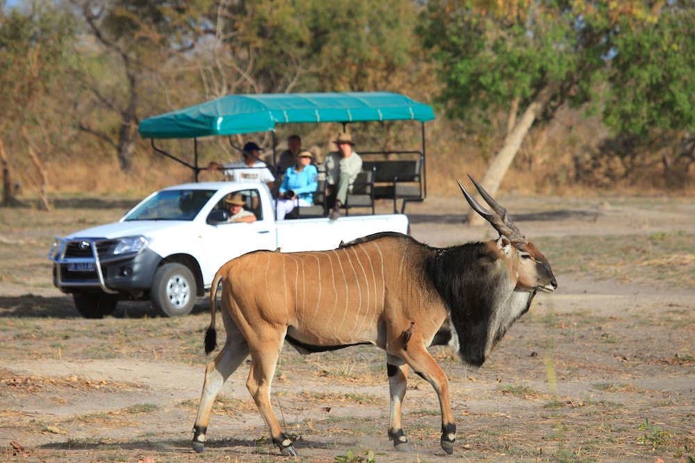Fathala Wildlife Reserve 19/47