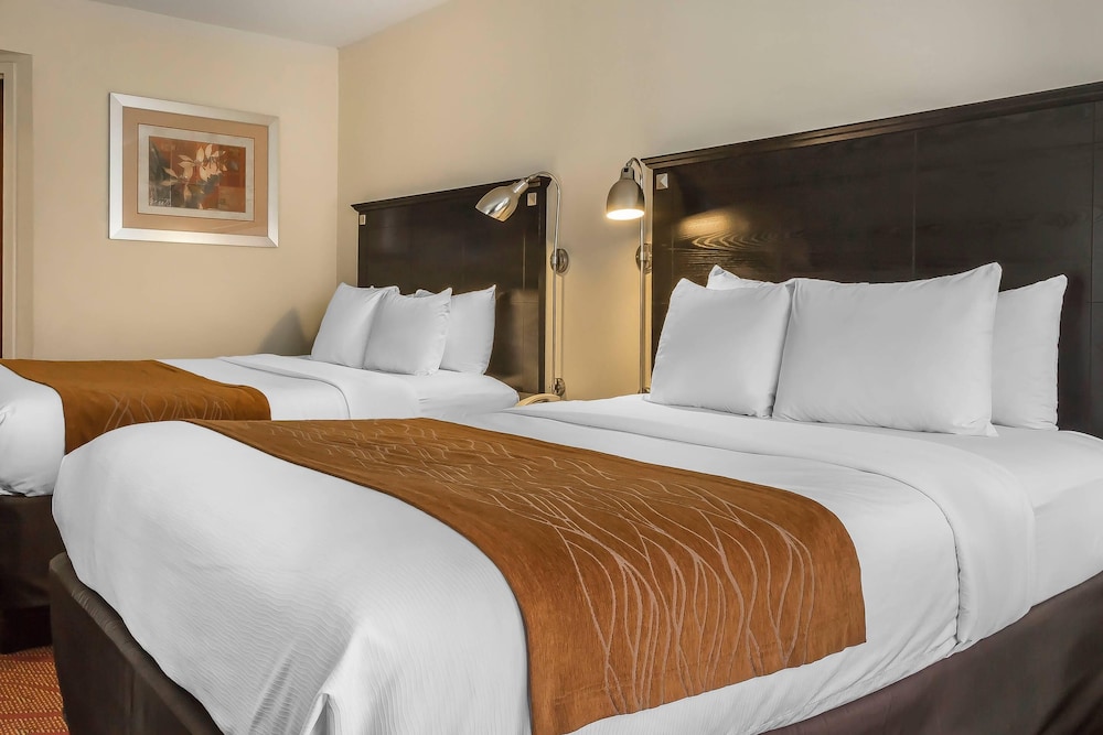 Comfort Inn & Suites LaGuardia Airport 16/64