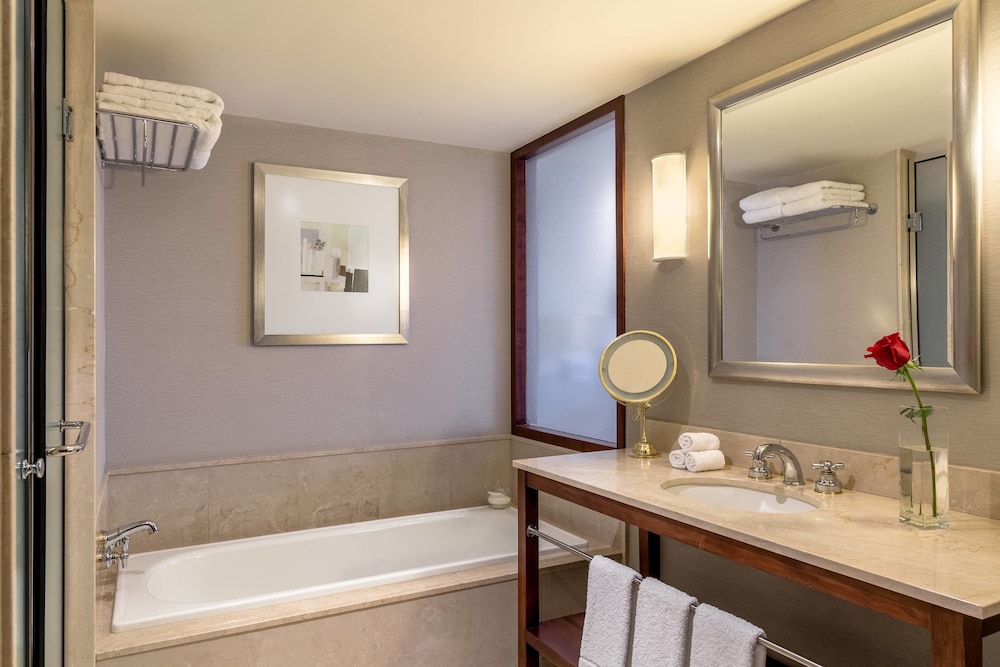 Sheraton Buenos Aires Hotel And Convention Center 18/65