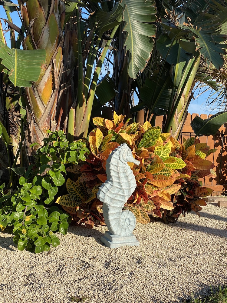 Seahorse Oceanfront Inn 47/50