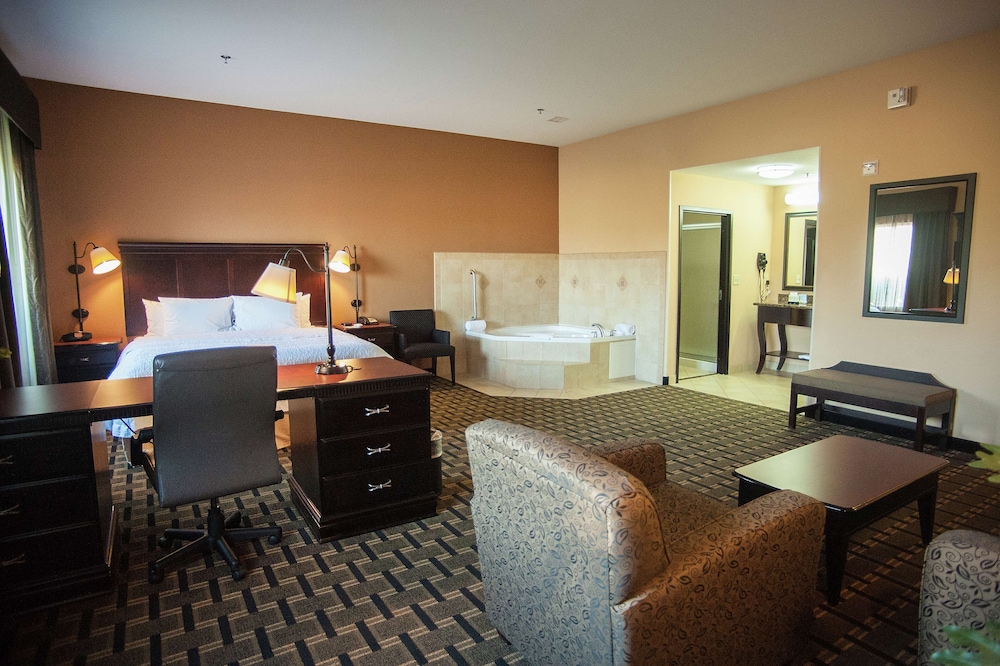 Hampton Inn & Suites Palestine 22/31