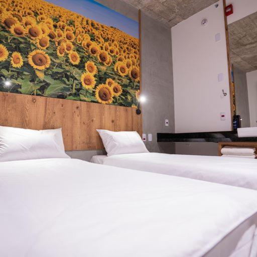 Campos de Holambra Inn 3/50