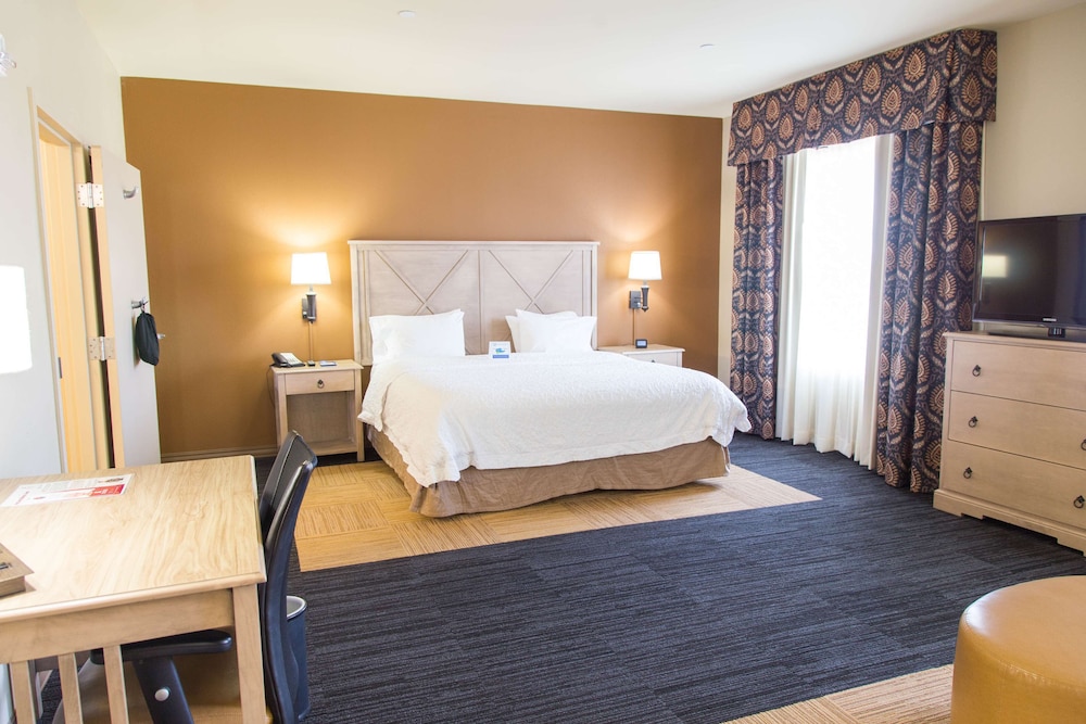 Hampton Inn Suites Dodge City 13/38