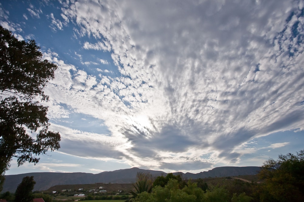 The Queen Of Calitzdorp 37/50