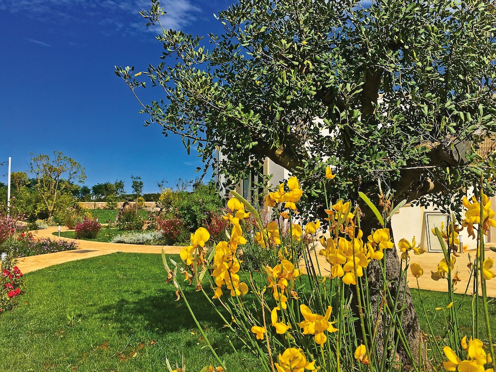 Tenuta Vigna Corallo 31/50