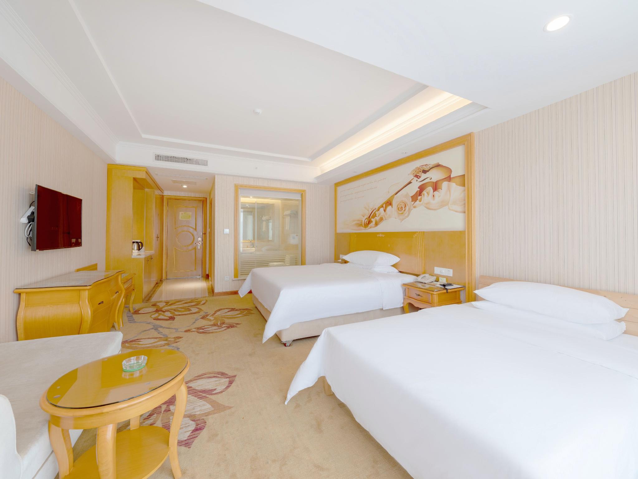 Vienna Hotel (Jiashan Old Town) 19/31