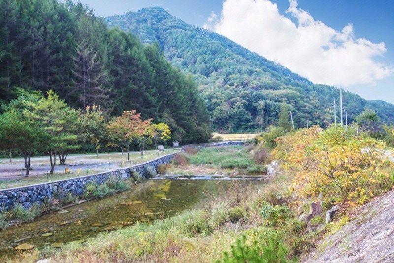 Jecheon Skylight Pension 12/12