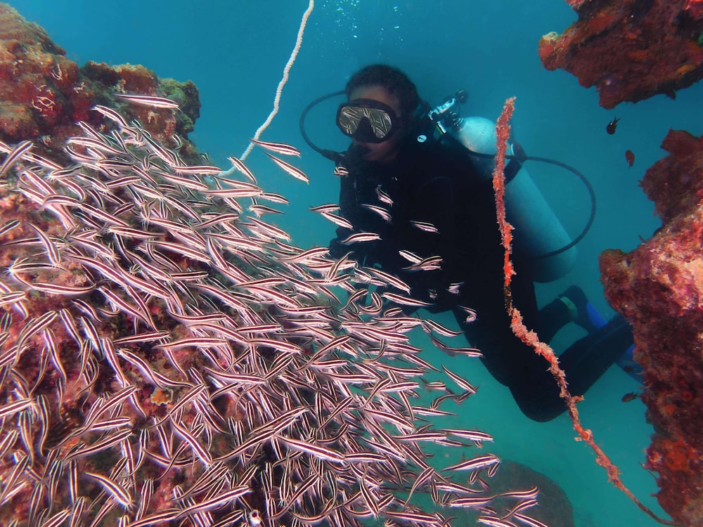 Gayana Marine Resort 56/71