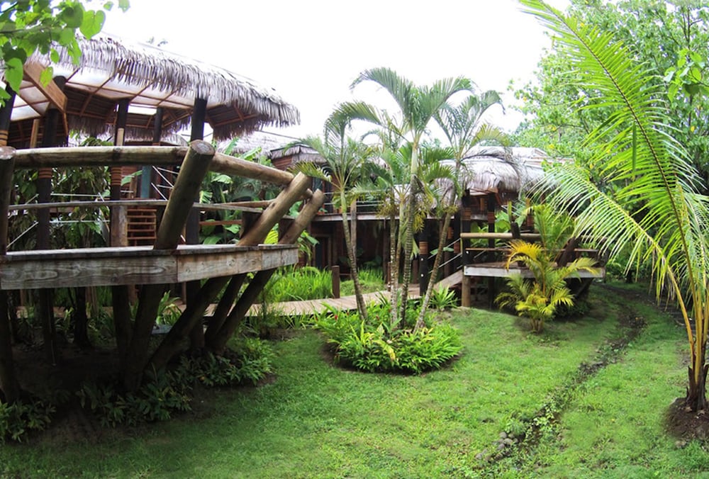 Coconuts Beach Club Resort and Spa 50/60