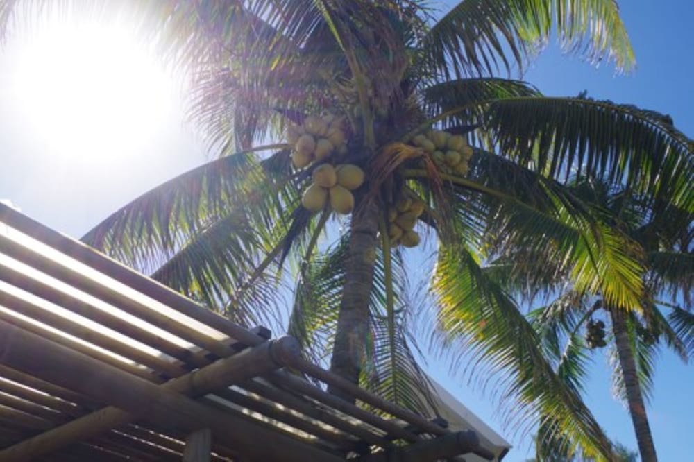Silver Beach Hotel 24/43