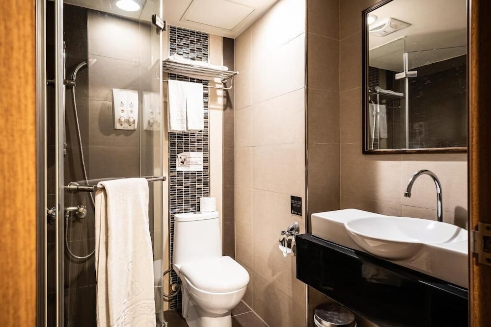Global Traveler Hotel Kaohsiung 45/50