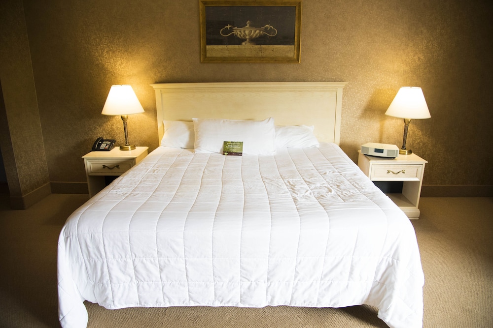 Pocono Palace Resort 19/44