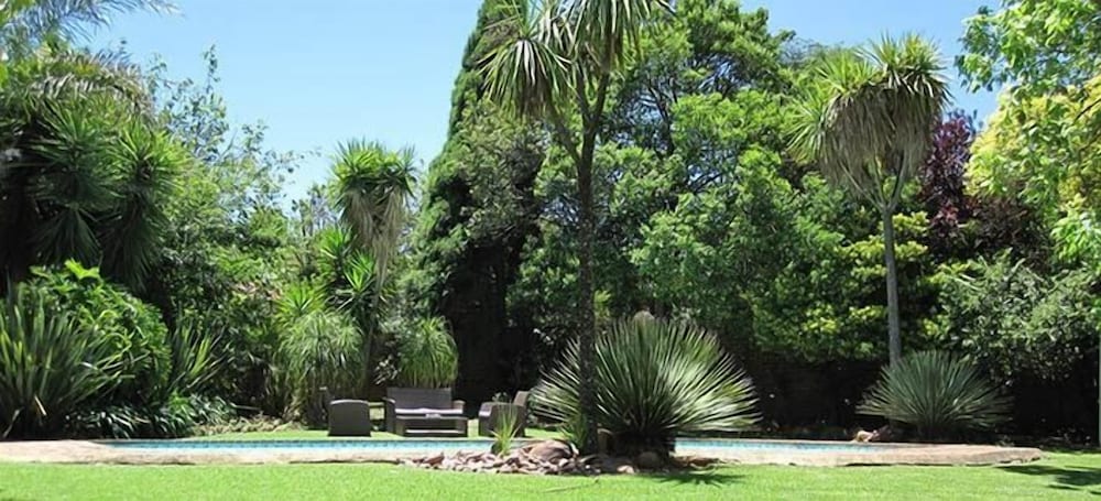The Pecan Tree 24/28