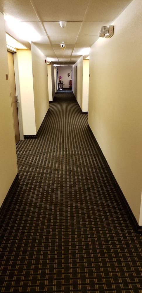 Super 8 by Wyndham Windsor 17/29