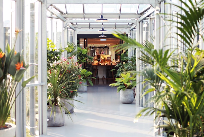 ZOKU AMSTERDAM 3/50