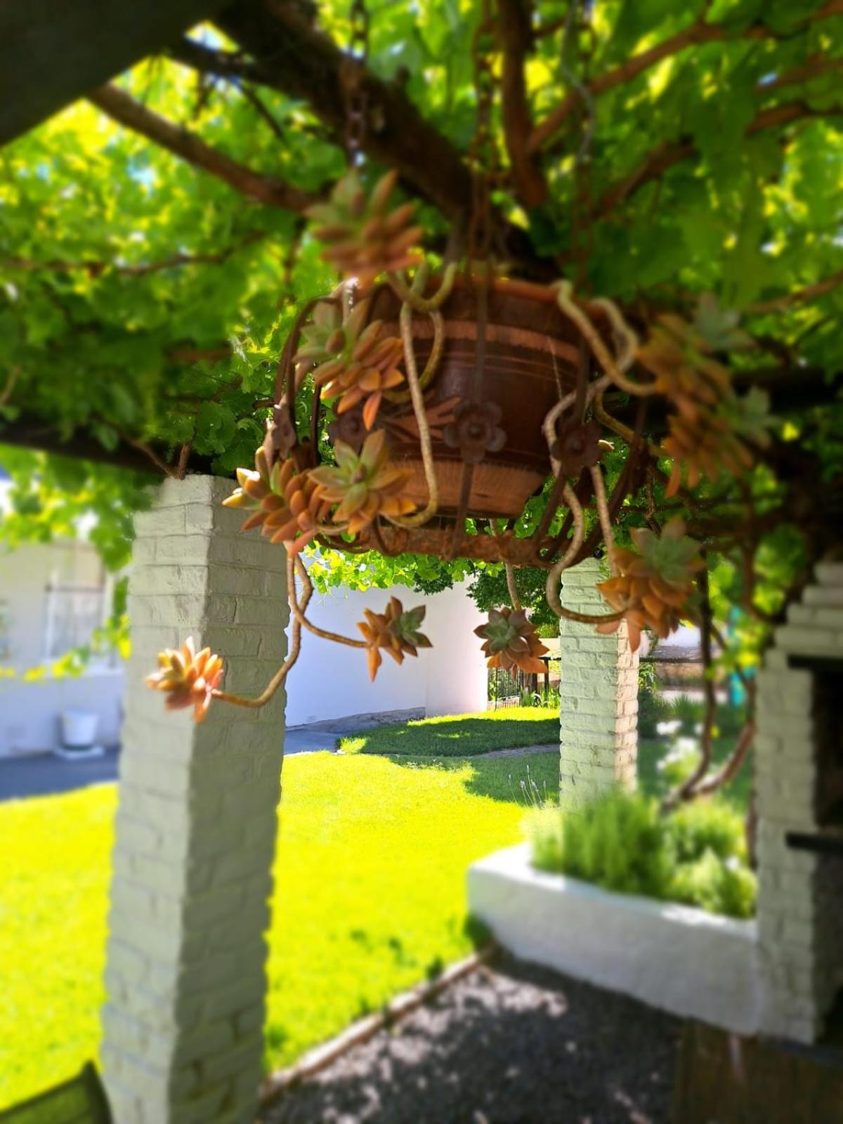 Moonlight Manor Boutique Guesthouse 27/33