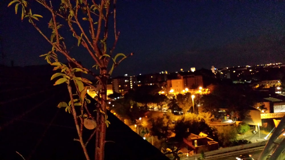 Trastevere 2 44/48