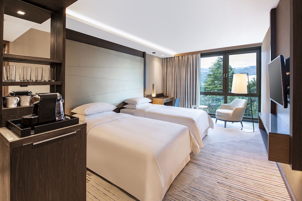 Sheraton Grand Tbilisi Metechi Palace 17/88